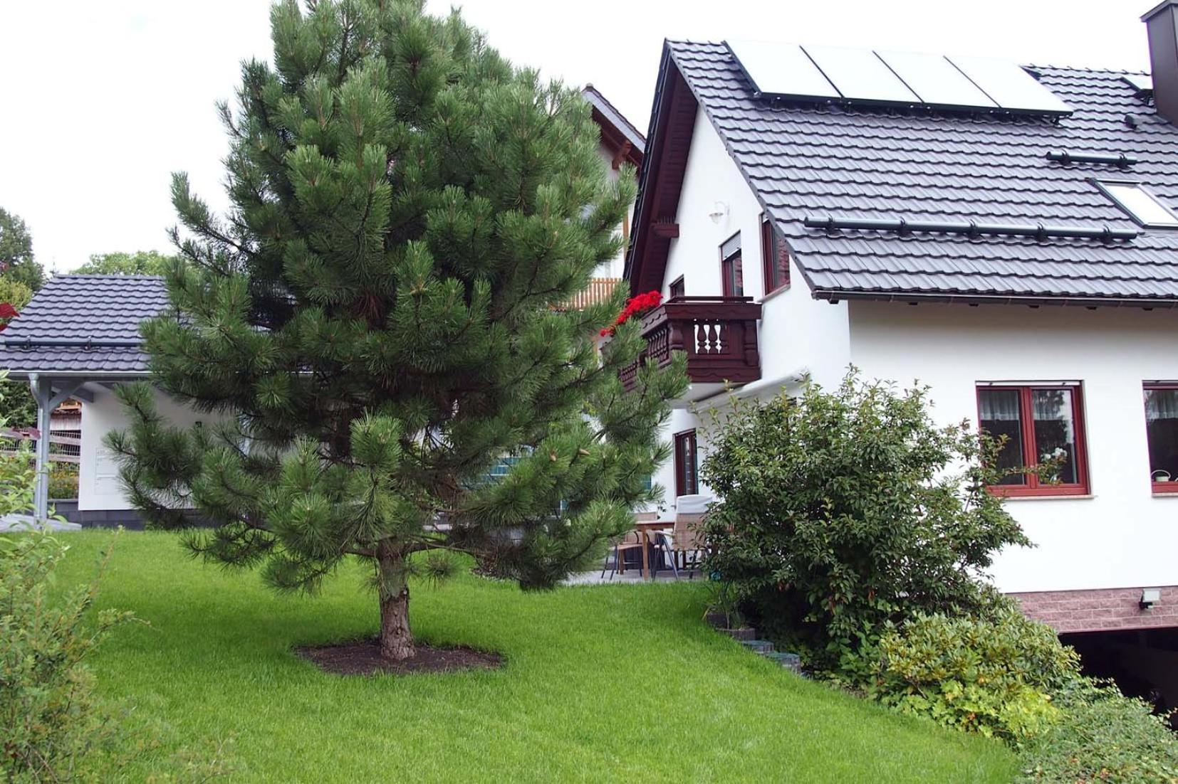 Am Domberg *